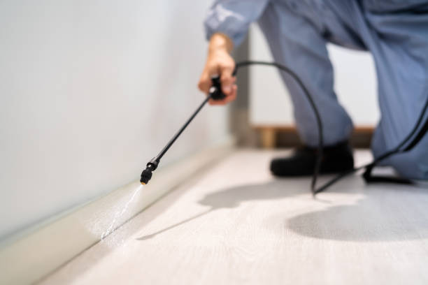 Licensed Pest Control service in Ahoskie, NC - Show Me Pest Control