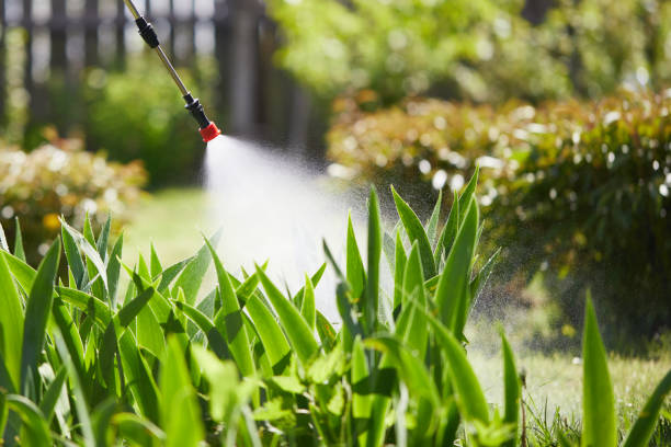 24/7 Emergency Wasp Removal experts in Ahoskie, NC