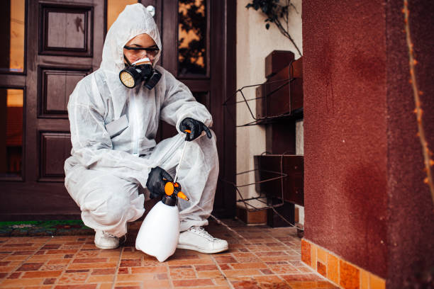Reliable Wasp Removal contractor in Ahoskie, NC by Show Me Pest Control